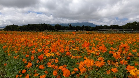 2019/09/14の写真