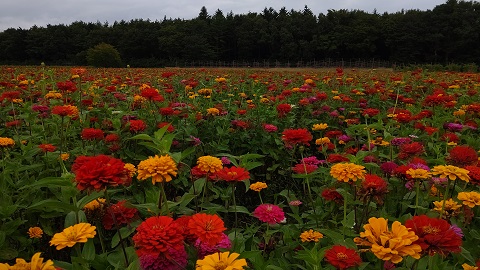 2019/09/21の写真