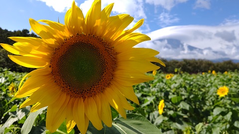 2019/09/24の写真