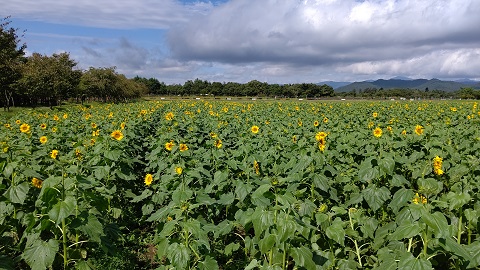 2019/09/24の写真