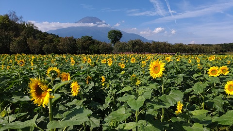 2019/09/27の写真