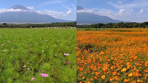 2019/09/27の写真