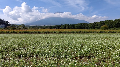 2019/09/27の写真