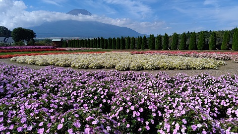 2019/09/27の写真