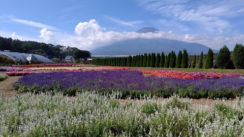 2019/09/27の写真