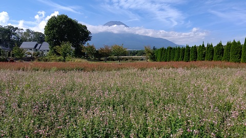 2019/09/27の写真