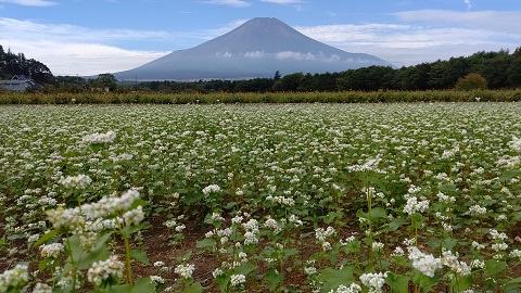 2019/10/03の写真