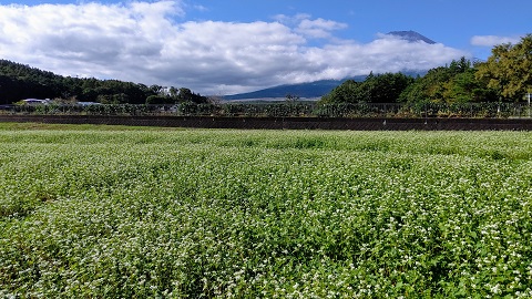 2019/10/09の写真