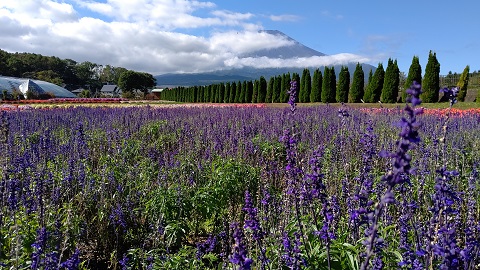 2019/10/09の写真