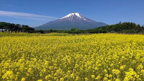 2020/06/10の写真