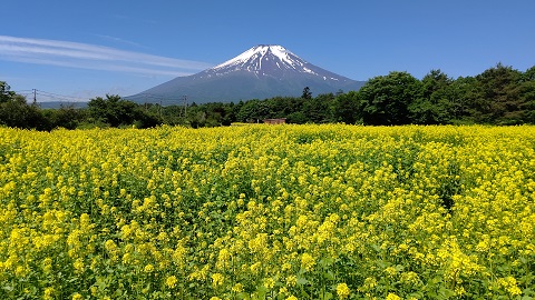 2020/06/10の写真