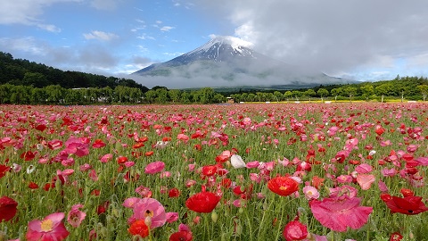 2020/06/12の写真