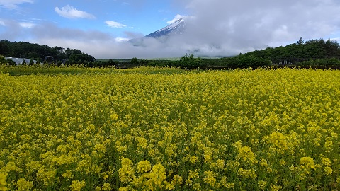 2020/06/12の写真