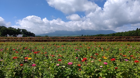 2020/07/19の写真