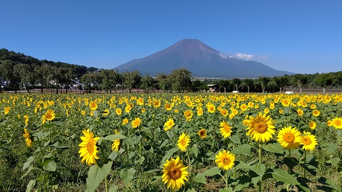 2020/08/21の写真