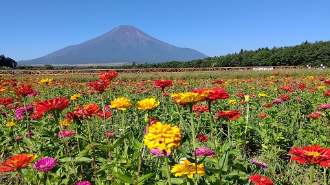 2020/08/21の写真