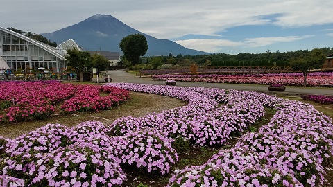 2020/09/21の写真