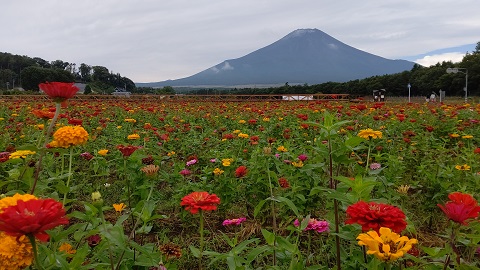 2020/09/21の写真