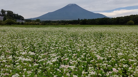 2020/09/21の写真