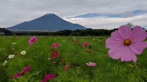 2020/09/21の写真