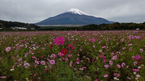 2020/10/19の写真