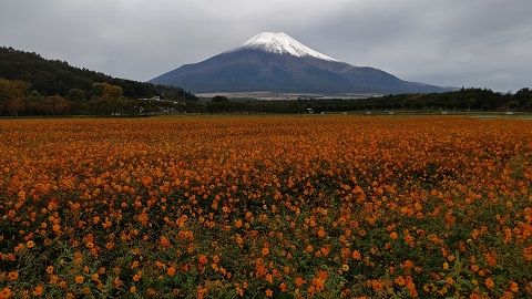 2020/10/19の写真