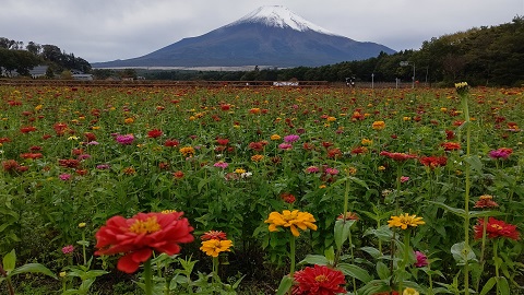 2020/10/19の写真