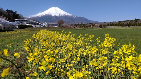 2021/04/18の写真