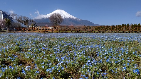 2021/04/18の写真