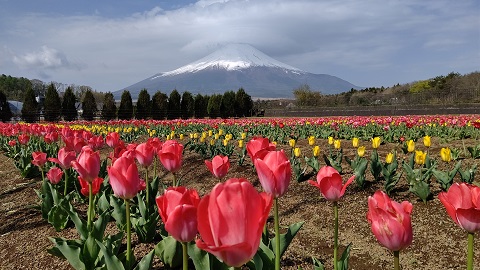 2021/05/01の写真