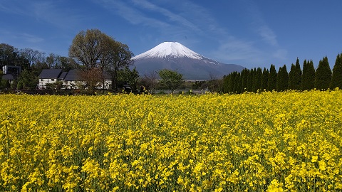 2021/05/08の写真