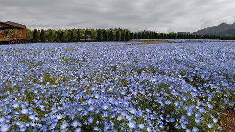 2021/05/15の写真