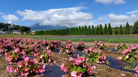 2021/07/10の写真