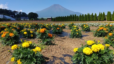 2021/07/20の写真