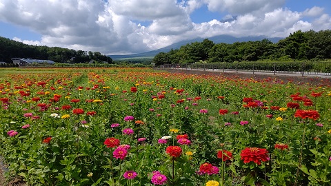 2021/07/25の写真