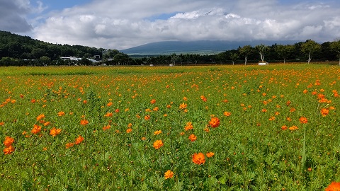 2021/07/31の写真