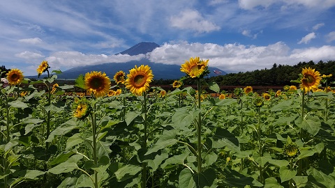 2021/08/02の写真