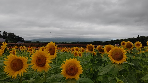 2021/08/07の写真