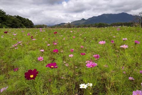 2021/09/16の写真