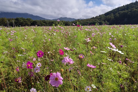 2021/09/27の写真