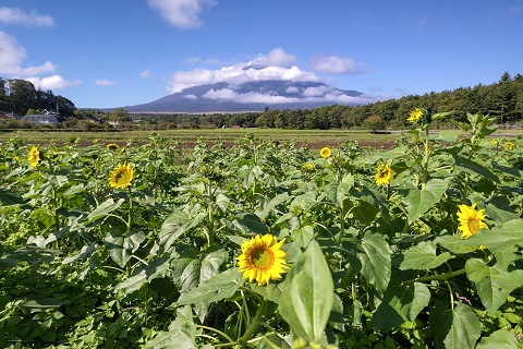 2021/09/27の写真