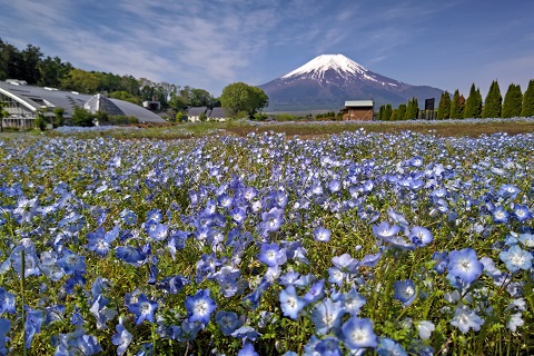 2022/05/18の写真