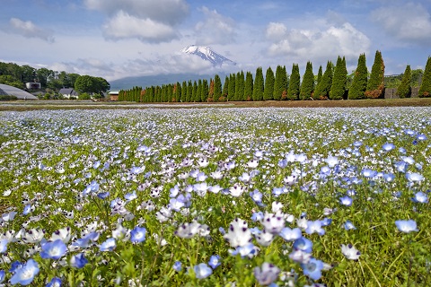 2022/06/05の写真