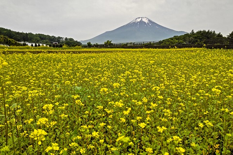 2022/06/17の写真