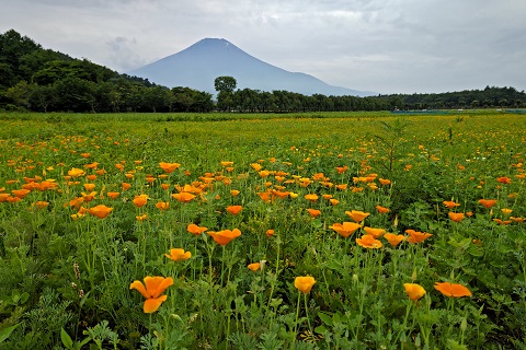 2022/07/03の写真