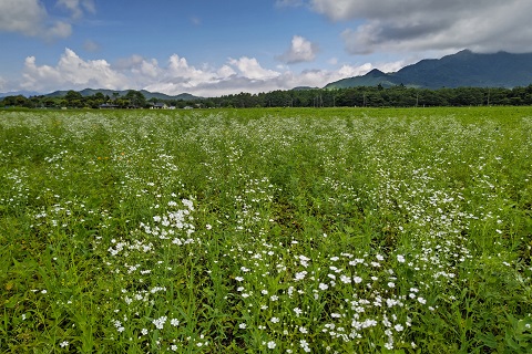 2022/07/08の写真