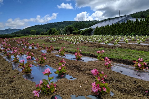 2022/07/08の写真