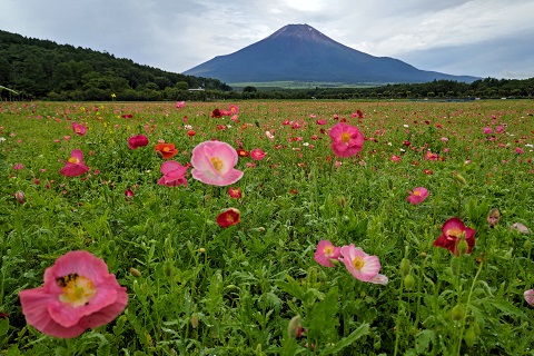 2022/07/18の写真