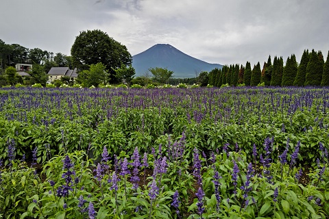 2022/07/18の写真