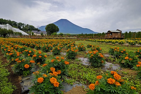 2022/07/18の写真